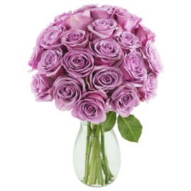 KaBloom PRIME NEXT DAY DELIVERY - Weekend in Paris Lavender Roses (Two Dozen) with Vase.Gift for Birthday, Sympathy, Anniversary, Get Well, Thank You, Valentine, Mother’s Day Fresh Flowers