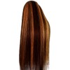 AiPliantfis Straight Human Hair Wig Brown Echthaar Perücke Damen 4X1