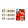 Pigma Mirron Sakura 005 - Set of 9 Colours, Set