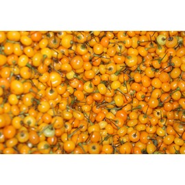 Aji Charapita Pepper 10+ Seeds