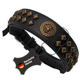 Michur Diego Brown Leather Dog Collar with Lion Head Appliqué, Flat Rivets, in Antique Brass Look, Black, Available in Various Sizes