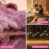 ESSLUX Fragrance Oil, ESSLUX Clean and Bath & Body Collections