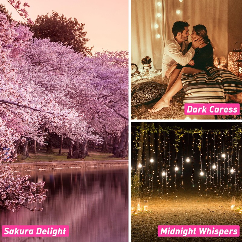 ESSLUX Fragrance Oil, ESSLUX Clean and Bath & Body Collections