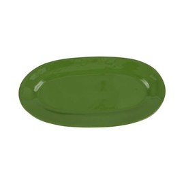Vietri Cucina Fresca Sage Narrow Oval Platter, Earthenware Steak Salad Dessert & Snack Serving Plate