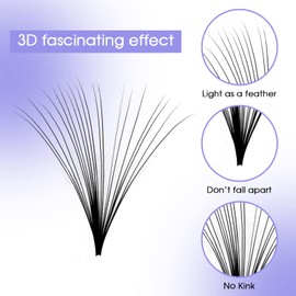 Easy Fan Volume for Lash Artists: Handmade Fans, Self Fanning, Blooming, Black, D Curl, 0.07mm, 14-20mm Mixed, Wendy, KH200102