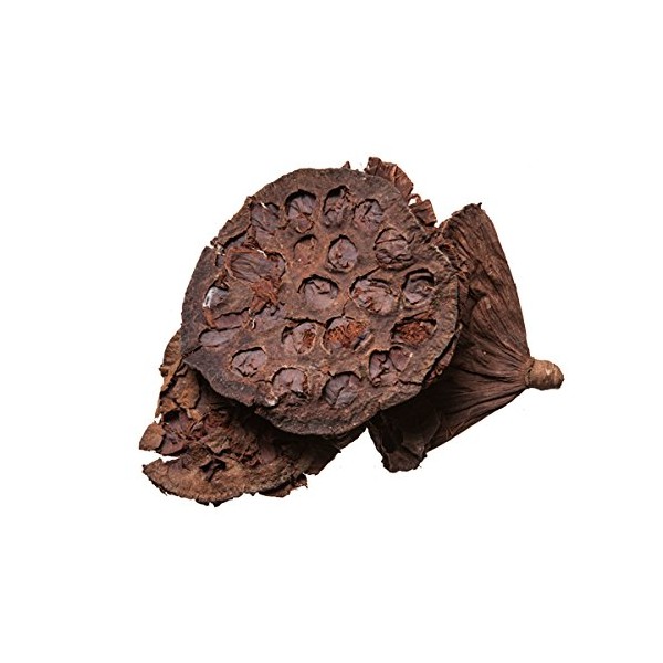 Lian Fang Chinese Herb | Lotus Pod | Lotus Receptacle