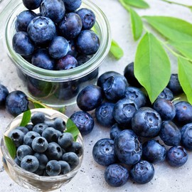 Blueberry Kingteok 1kg, large-sized seasonal raw fruit and special fatigue recovery immune food for jam, 100g each / 블루베리 왕특 1키로 알이큰 제철 생과 잼용 특별한 피로회복 면역 식품 100g 1개