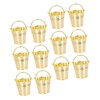 Ciieeo Decorative Plastic Bucket Small Treat Bucket for Birthday Party