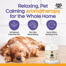 Pet Odor Eliminator Candle Relaxing Wildwoods Scented Candle, Calming Candles Aromatherapy for Home Decor, Soy Wax Pet Candles Odor Eliminator for Animal Lover, Aromatherapy by Gerrard Larriett