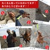 Takoden No. 3.5 Orange G Azurro Octopus Fishing