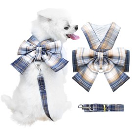 AXIIJGL Small Dog Harness with D-Ring, Soft Mesh, Adjustable - Set Includes Harness and Leash for Puppy Girls