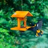 DutchCrafters Plastic Poly Hanging Orange Oriole Bird Feeder with Grape