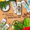 INECTO Natural Coconut Shampoo 500ml, Super-Creamy Infused with Pure Organic