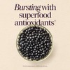 Sambucus Elderberry Gummies Suplementos Herbales 10486