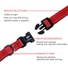 FURRYFECTION Reflective Dog Collar and Leash Set With Quick Release