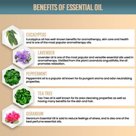 Dare to Clean Essential Oil Air Freshener All-Natural Essential Oil Air Spray – Power Flower Therapeutic Grade Essential Oil Fabric Refresher – Lavender Peppermint Tea-tree Eucalyptus Geranium -8oz