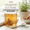 Fruitjoi Turkish Dried Figs – Premium Natural Figs, No Added