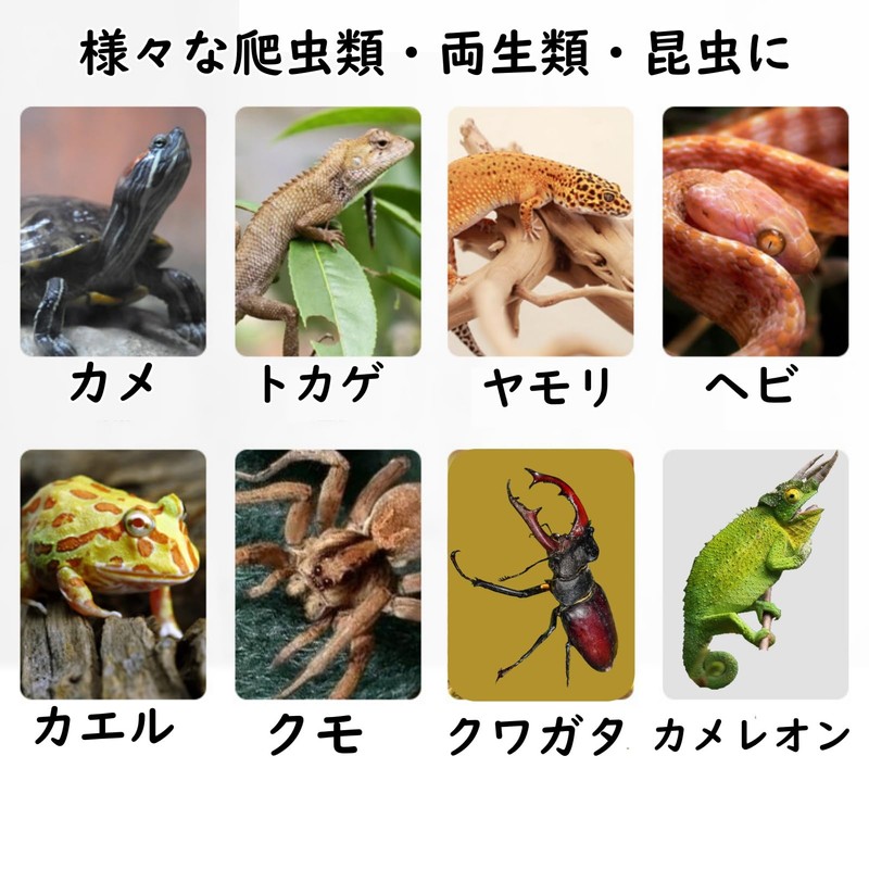 Active Island Reptile Flooring Mat Thermal Moisturizing Sheet Breeding Green