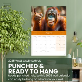 Funny Calendar 2025 Animals - Space For Notes Across 13 Months. Beautiful Images Of Funny Animals. Recyclable 2025 Calendar Printed in UK by Ruby Ashley®