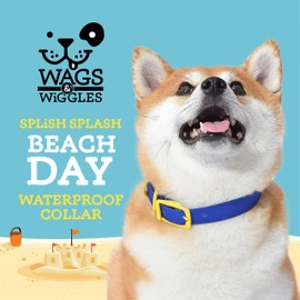 Wags & Wiggles Waterproof PVS Collar Navy- Medium | Medium Blue and Yellow Dog Collar for Pool or Lake, Waterproof | PVC Durable Dog Collar for Pool Party