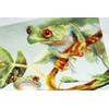 RIOLIS Cross Stitch Kit - PT-0083 - Tree Frogs
