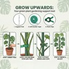 Yeomant 6 Pack Stackable Monstera Plant Support Stakes, Plant Stakes