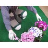 konparu Garden Kneeling at the set of 2
