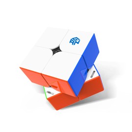 GAN 251 M Pro, GAN 2x2 Magnetic Speed Puzzle Cube Stickerless Gans 251 Mini Cube 63 Magnets Puzzle Toy for Beginner(Frosted Surface Primary Internal)