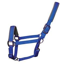 Woof Wear Contour Head Collar & Lead Rope Set ELECTRIC BLUE (Pony)