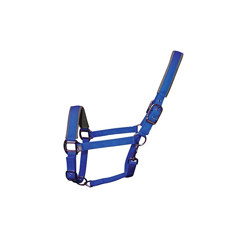 Woof Wear Contour Head Collar & Lead Rope Set ELECTRIC