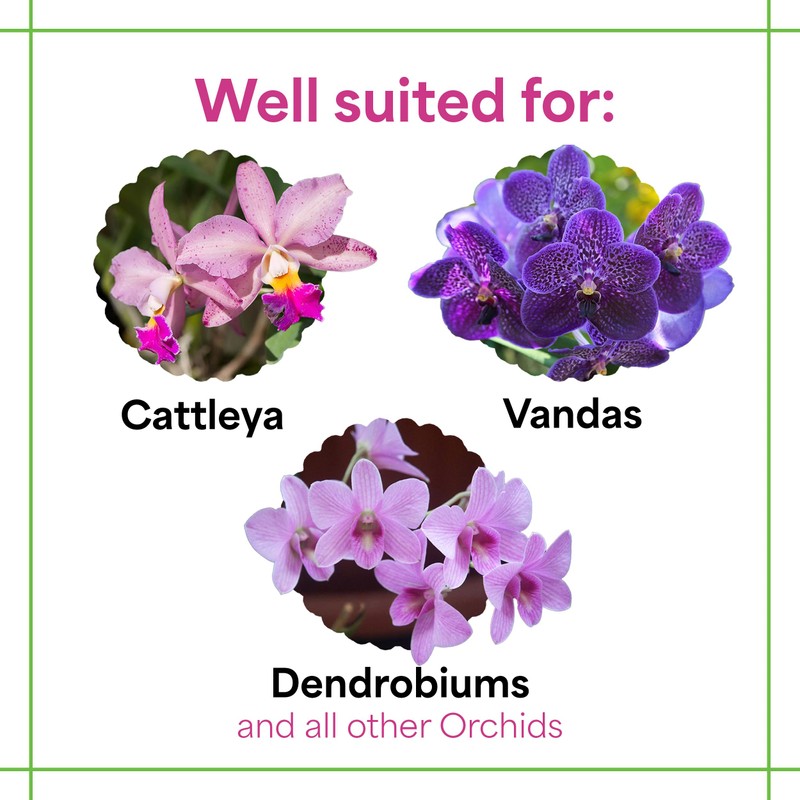 Grow More All Purpose Orchid Fertilizer 20-20-20 for Soil Maintenence