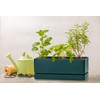 D'vine Dev 12 Inch Window Box Planter, Rectangle Plastic Herb