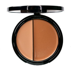 EVE PEARL 6 Pcs Beautiful Face Collection Foundation Blush Brow And Brushes All In One Set Essential Makeup Kit (Tan)