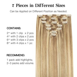 hotbanana Clip In Extensions Echthaar, Light Blonde Highlighted Golden Blonde (Grauton) Clip in Hair Extensions Real Human Hair Straight Remy Echthaar Extensions Clip 35cm 120g 7pc