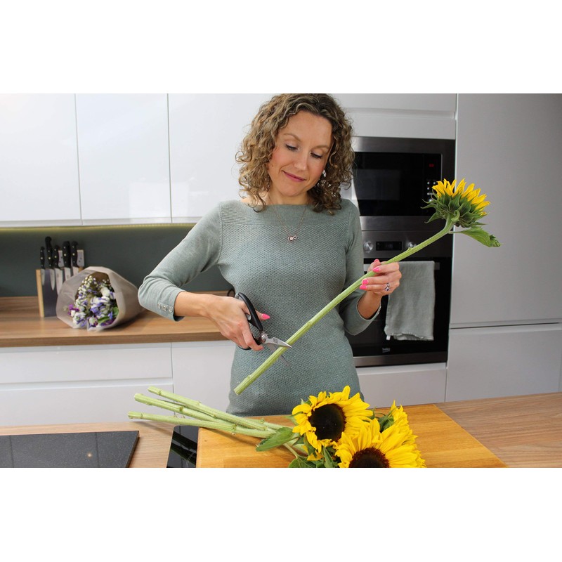 Taylors Eye Witness Heavy Duty Kitchen Scissor Shears - Large,