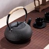 Big Cast Iron Teapot, Japanese Tetsubin Tea Kettle for Stovetop