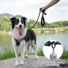 PoyPet Dog Leash 5 Feet for Small Medium and Large