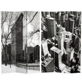 Red Lantern 6 ft. Tall New York Reflections Room Divider, New York City