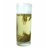 Jasmine Silver Needle White Tea,best white tea with all tippy-