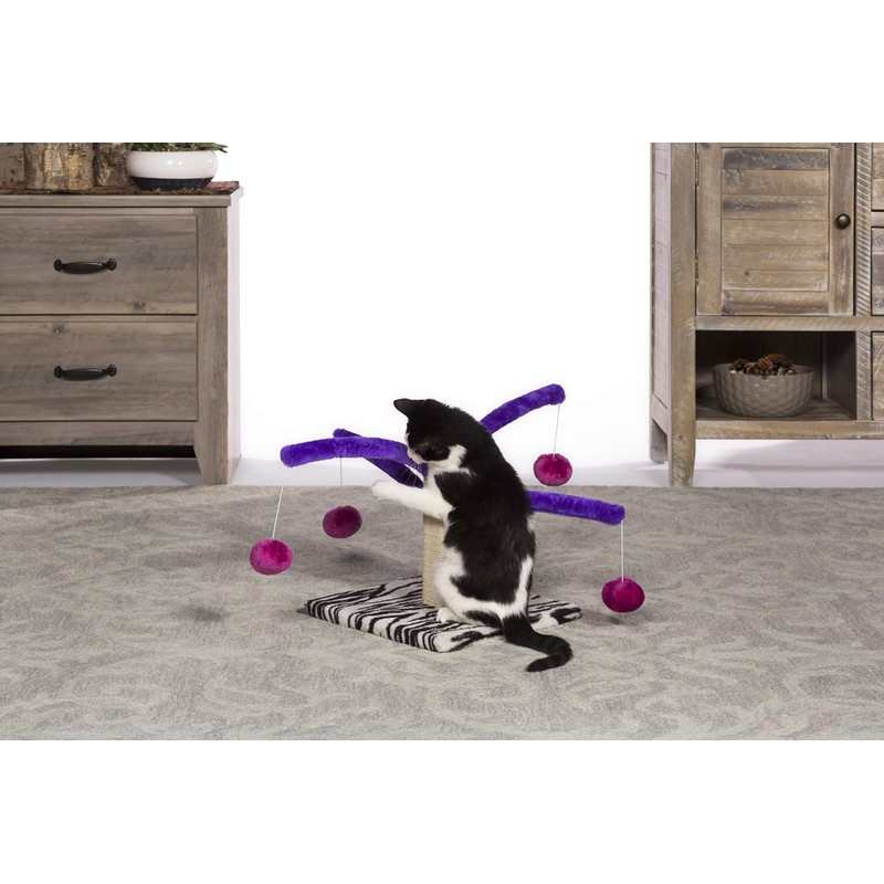 Prevue Pet Products Kitty Power Bounce 'n Spring Scratcher Furniture