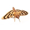 HANSA Moth - Peluche