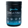 Creatina Monohidratada 100% Pura 500 G 100 Serv Granalia Lif