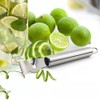 Lemon Zester Peeler, 2-in-1 Stainless Steel Professional Peeling Tool for