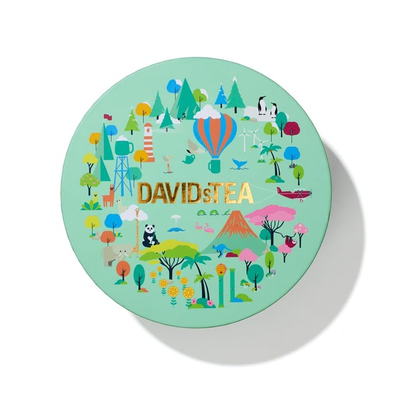 DAVIDsTEA Travel with Tea Sachet Tea Wheel, Full Leaf, Gift