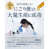Kewpie Wellness Good Time One Acetic Acid Bacteria Enzyme 100