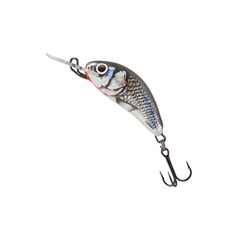 Salmo Hornet H3 HGS holo