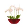 elho Brussels Diamond Oval 36 - Flower Pot for Indoor