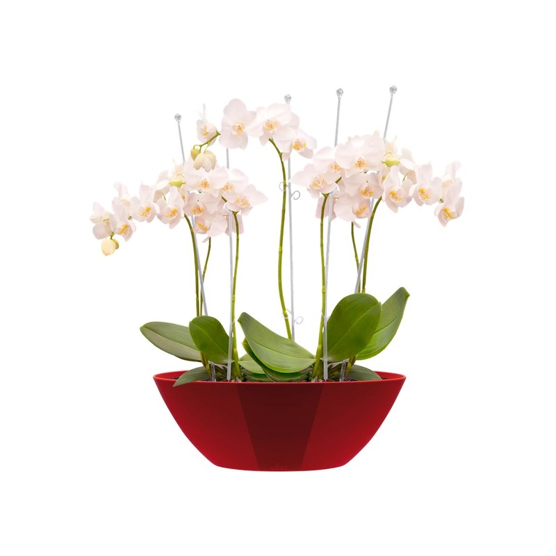 elho Brussels Diamond Oval 36 - Flower Pot for Indoor