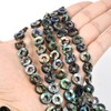 10mm Natural Abalone Shell Hollow Circle Flat Round Ring-Shape Donut