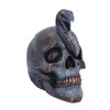 Nemesis Now Serpentine Fate Skull, Grey, 19cm